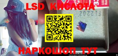 ПСИЛОЦИБИНОВЫЕ ГРИБЫ Новозыбков