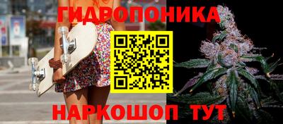 крисы Нарткала
