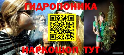 круглые Новодвинск