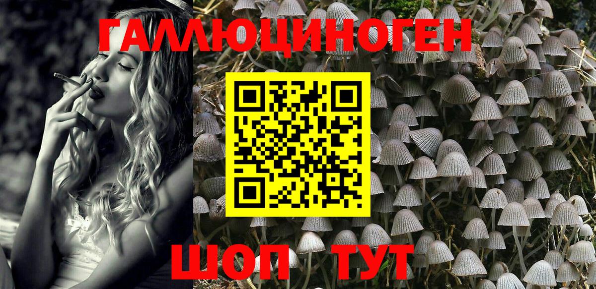 Галлюциногенные грибы Psilocybe  Вход с VPN  Сургут 